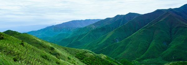 智慧護林有妙招，看太子山如何用科技守護森林