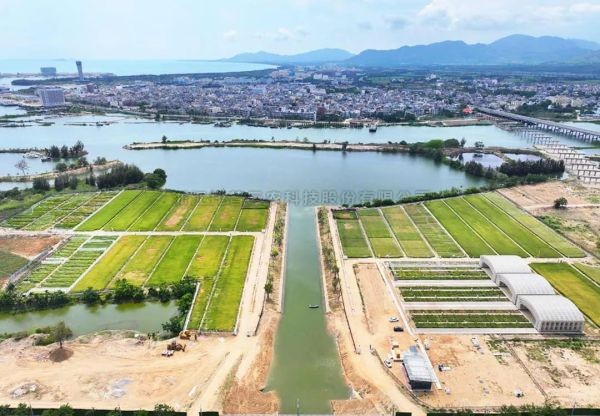 為鹽堿地安上“技術芯片”，免费看片黄打造耐鹽堿水稻科研試驗基地建設解決方案