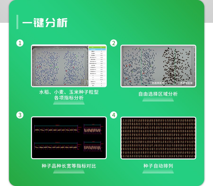 智能考種分析係統