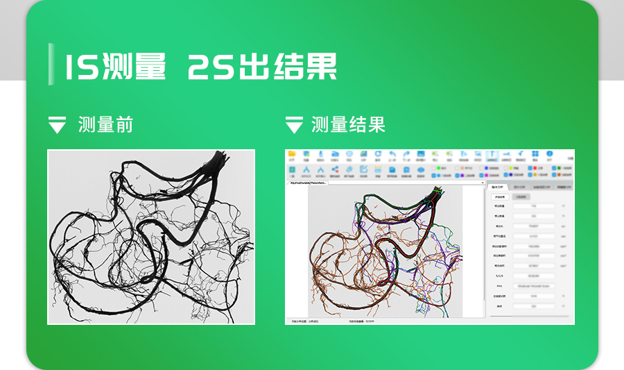 根係分析係統